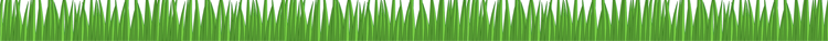 grass